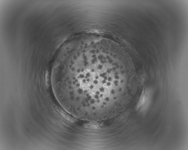 X0000079330661200611251832