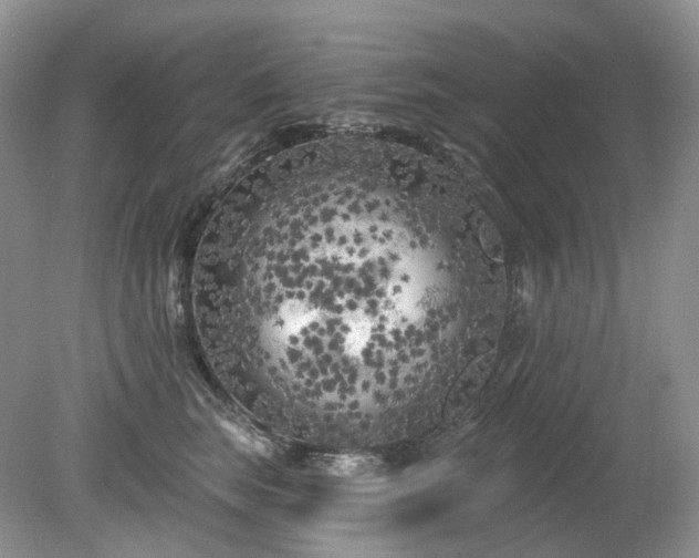 X0000079330663200611251832