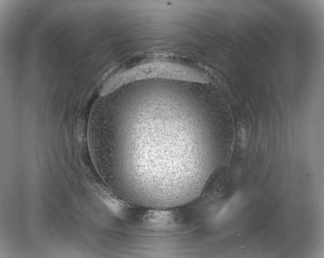 X0000079330665200611251832