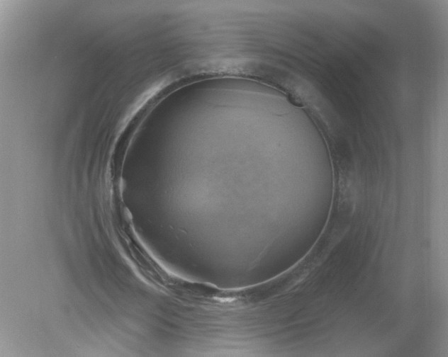 X0000079330674200611251832