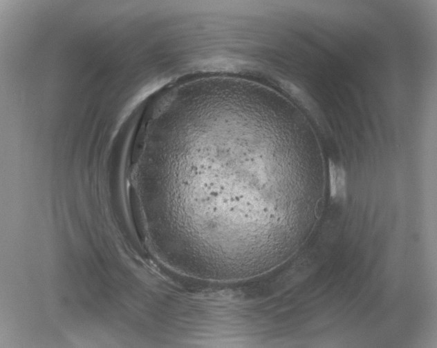 X0000079330675200611251832