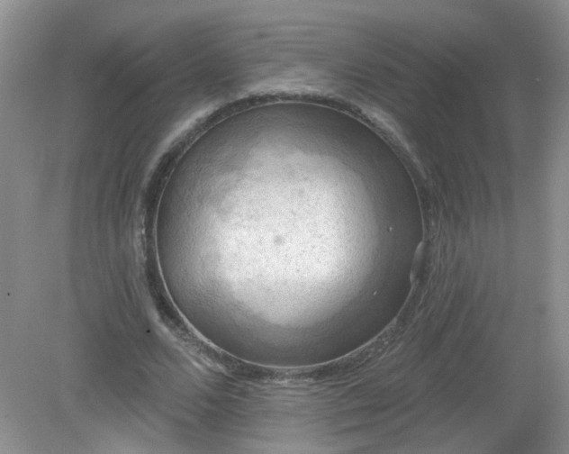 X0000079330680200611251831