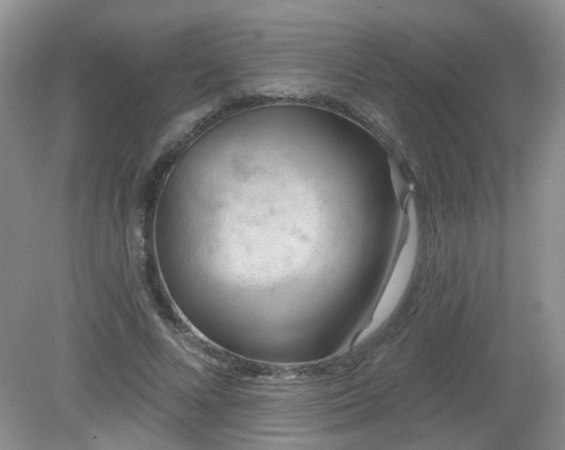 X0000079330688200611251831