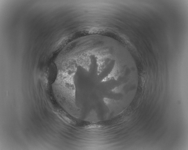 X0000079330691200611251831