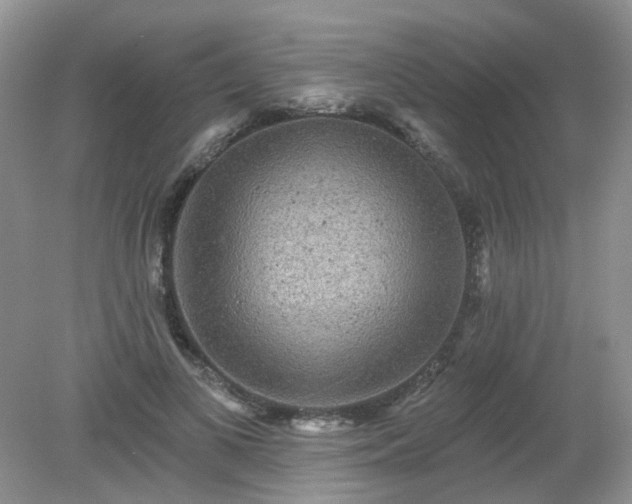 X0000079330693200611251831