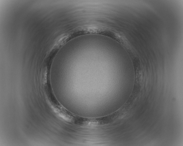 X0000079330694200611251831