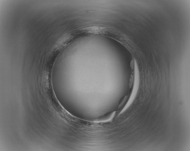 X0000079330696200611251831