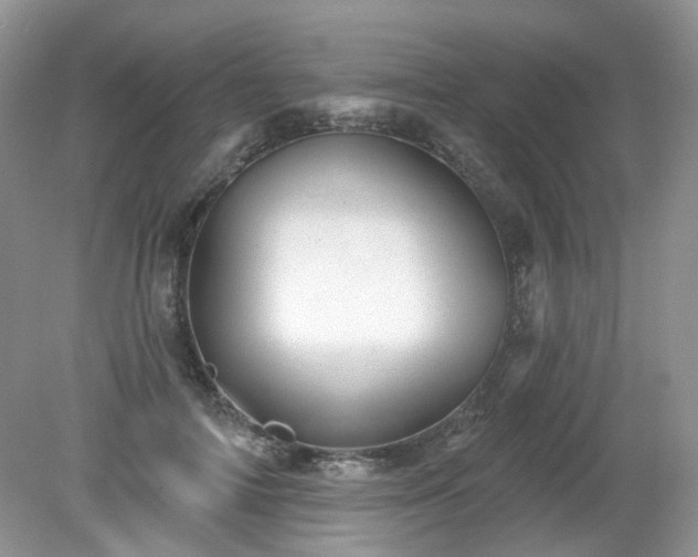 X0000079330698200611251831