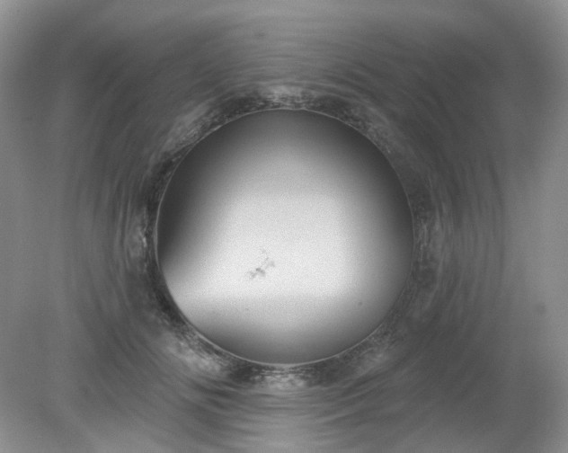 X0000079330702200611251831