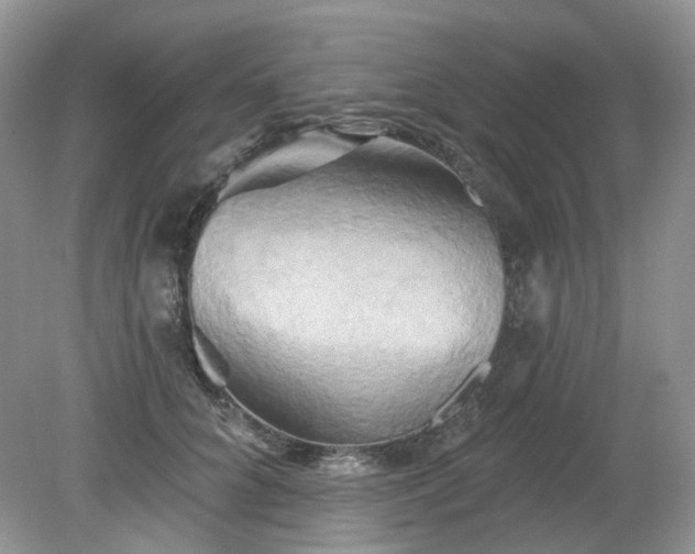 X0000079330704200611251831