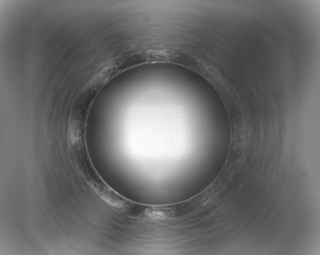 X0000079330706200611251831