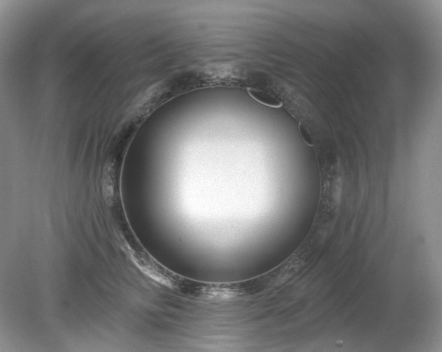 X0000079330710200611251831