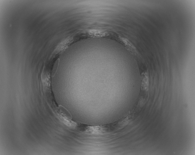X0000079330713200611251831
