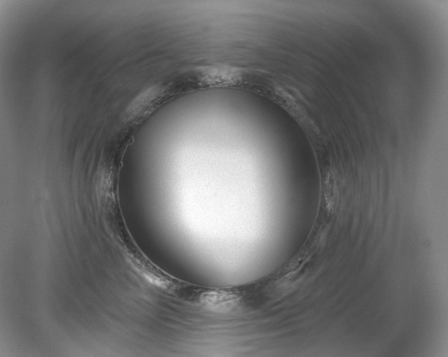 X0000079330714200611251831