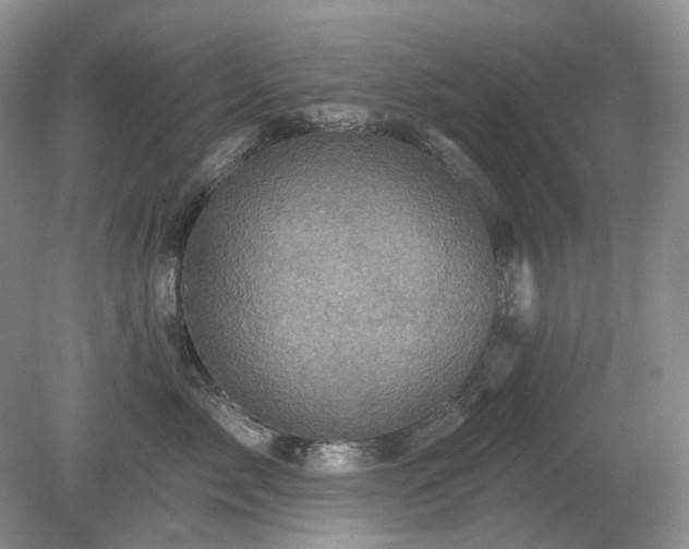 X0000079330717200611251831