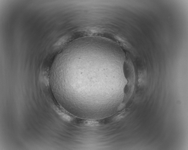 X0000079330719200611251831