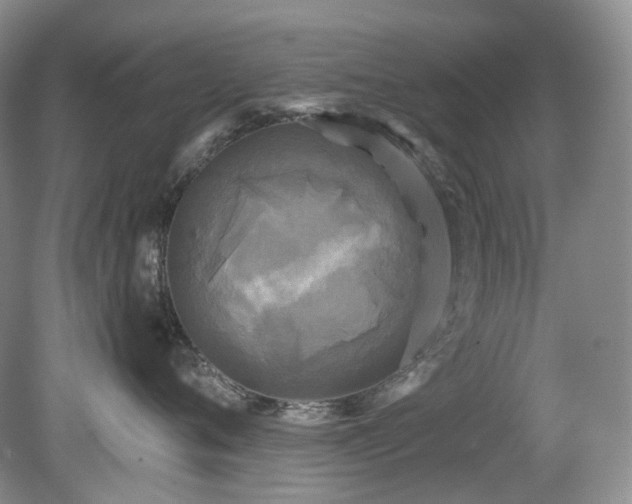 X0000079330720200611251831
