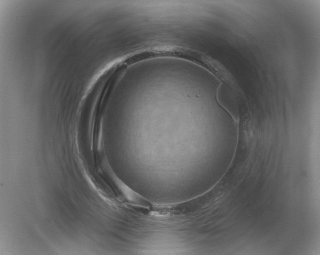 X0000079330728200611251830