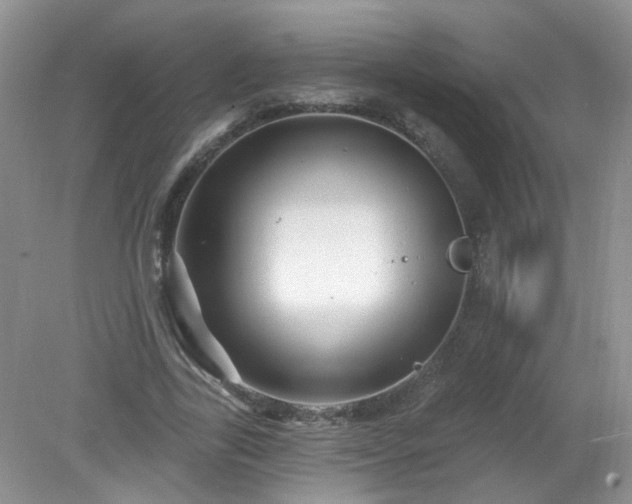 X0000079330731200611251830