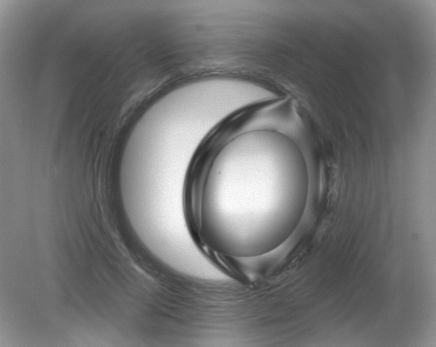 X0000079330740200611251830