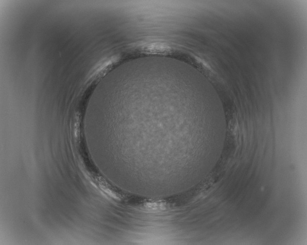 X0000079330744200611251830