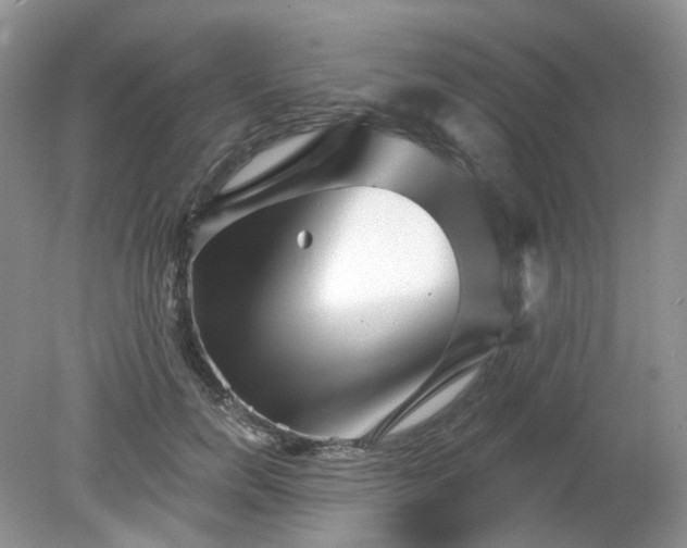 X0000079330750200611251830