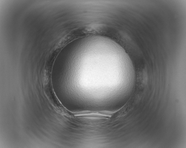 X0000079330751200611251831