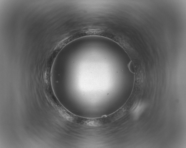 X0000079330755200611251831
