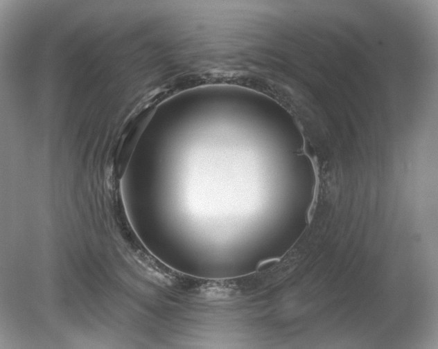 X0000079330756200611251831
