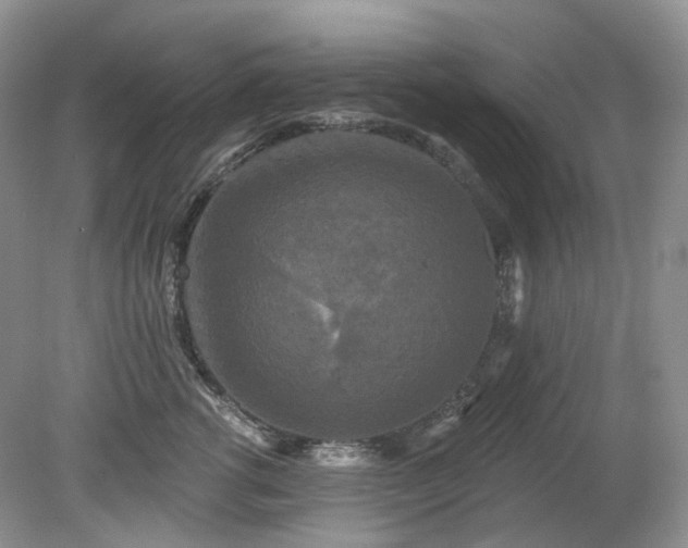 X0000079330762200611251831
