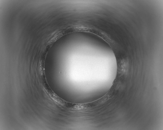 X0000079330764200611251831
