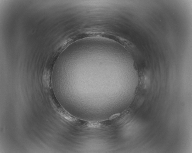 X0000079330767200611251831