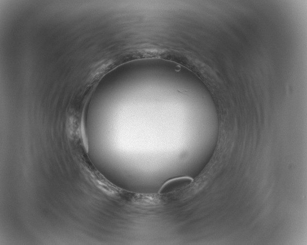 X0000079330768200611251831