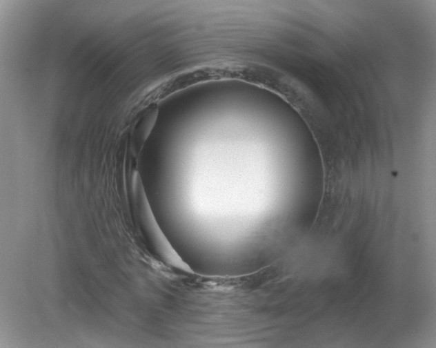 X0000079330773200611251830