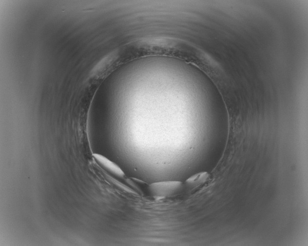 X0000079330774200611251830