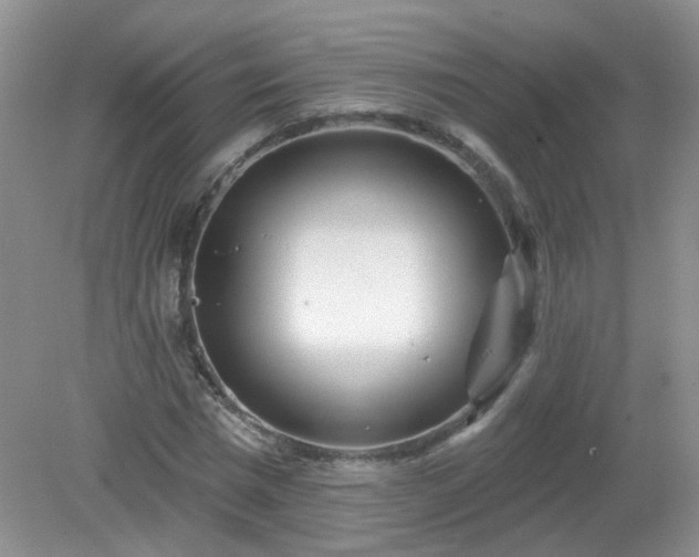 X0000079330777200611251830