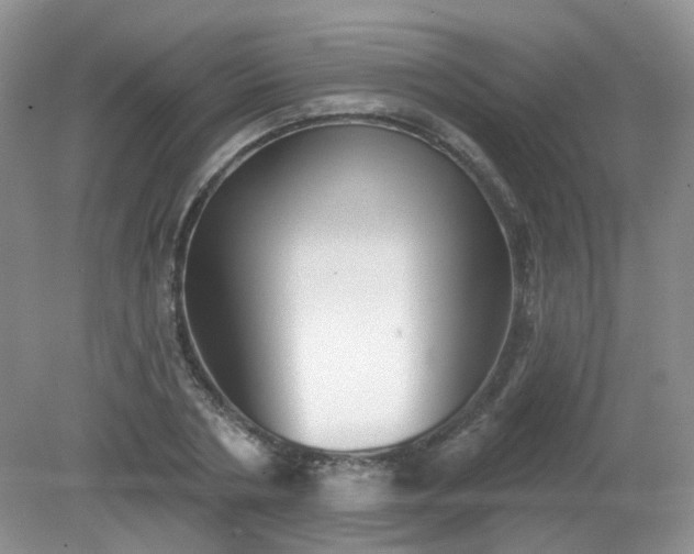 X0000079330786200611251830