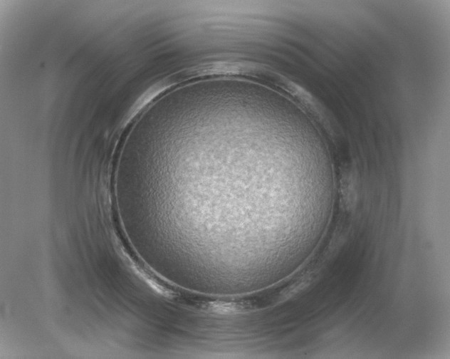 X0000079330794200611251830