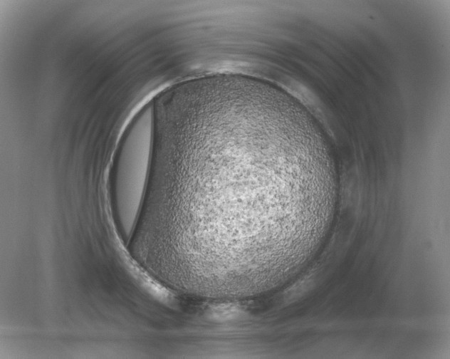 X0000079330798200611251830