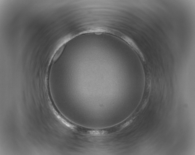 X0000079330805200611251829