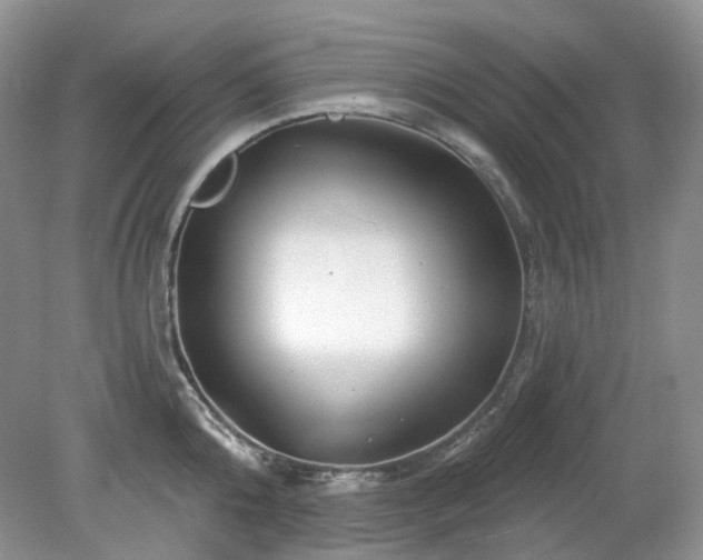 X0000079330808200611251829