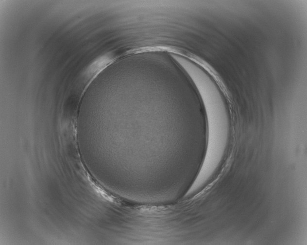 X0000079330809200611251829