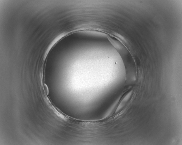X0000079330812200611251829