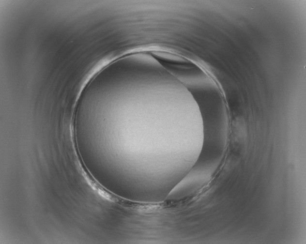 X0000079330813200611251829