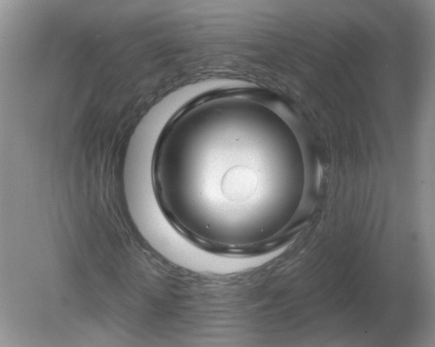 X0000079330818200611251828