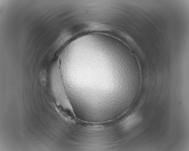 X0000079330833200611251829