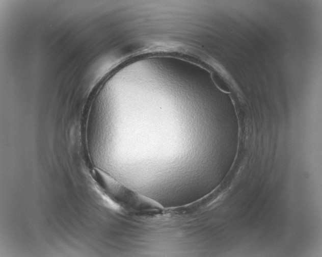 X0000079330834200611251829