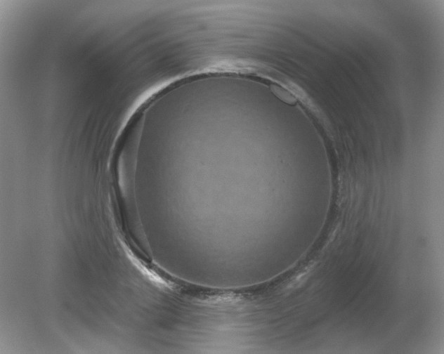 X0000079330838200611251829