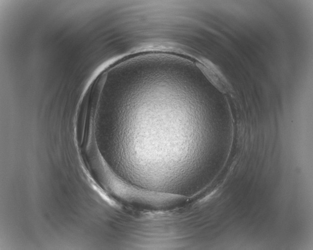 X0000079330846200611251829
