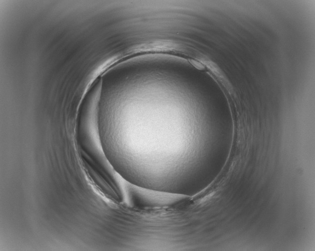X0000079330850200611251829